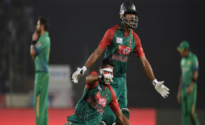 Cricket