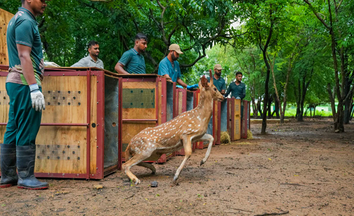 vantara zoo