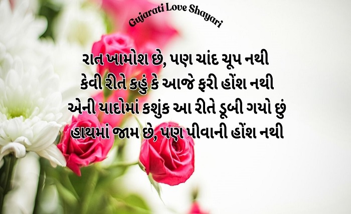gujarati shayari 2 line attitude