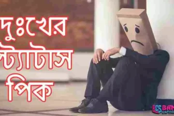 দুঃখের স্ট্যাটাস পিক Bangla Sad Status pic