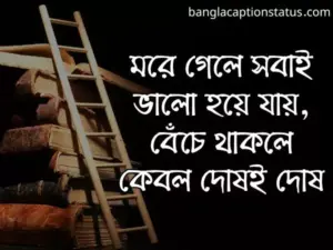 শিক্ষামূলক ফেসবুক স্ট্যাটাস