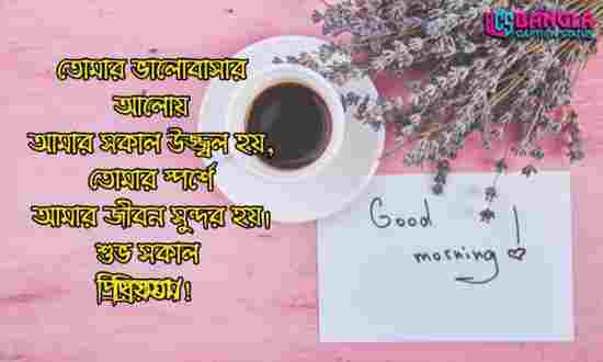 শুভ সকাল স্ট্যাটাস | শুভ সকাল রোমান্টিক মেসেজ