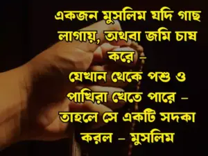 ইসলামিক স্ট্যাটাস
