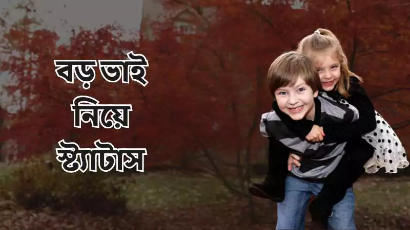 বড় ভাই নিয়ে স্ট্যাটাস