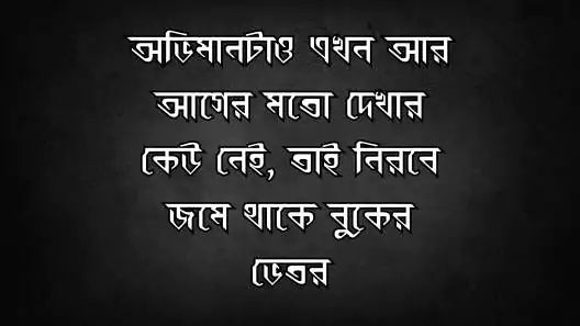 fb dp caption bangla