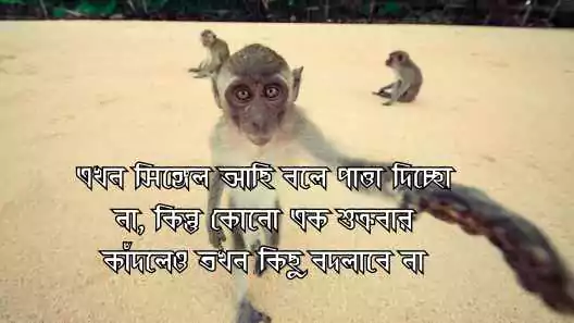 মজার স্ট্যাটাস