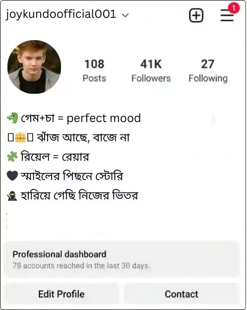 instagram bio