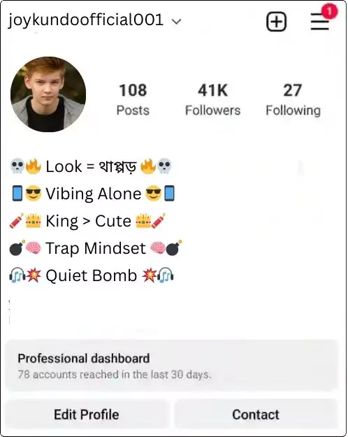 instagram bio