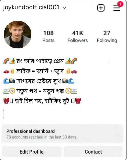 instagram bio