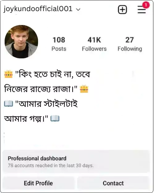 instagram bio