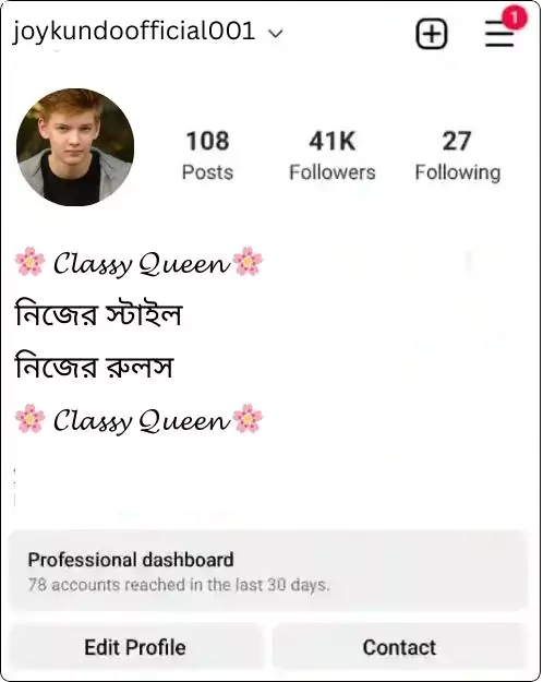 instagram bio