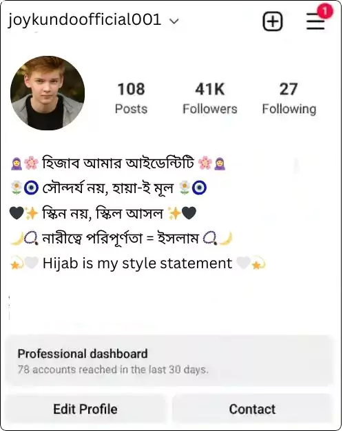 instagram bio