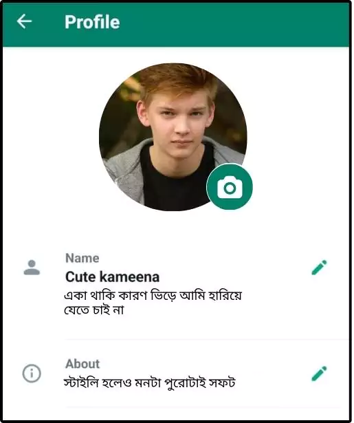 whatsapp bio