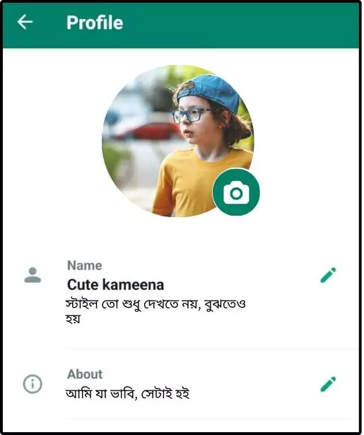whatsapp bio