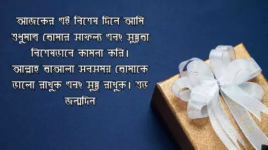 আপুর জন্মদিনের শুভেচ্ছা