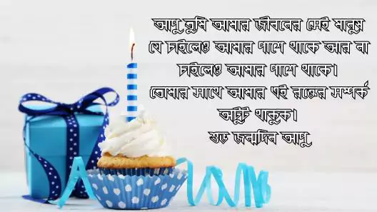 আপুর জন্মদিনের শুভেচ্ছা