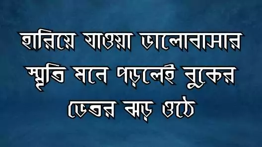 ফেসবুক স্ট্যাটাস ক্যাপশন