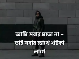 attitude status bangla