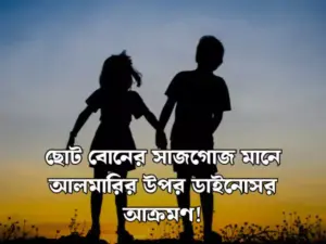 ভাই বোন নিয়ে স্ট্যাটাস