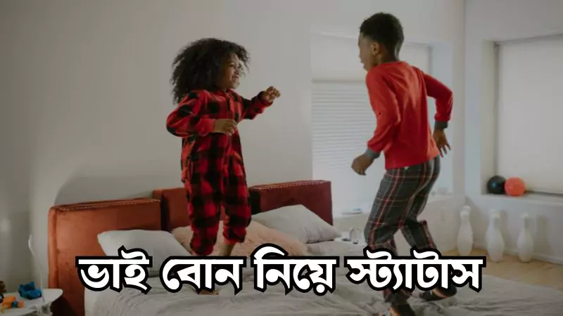 ভাই বোন নিয়ে স্ট্যাটাস