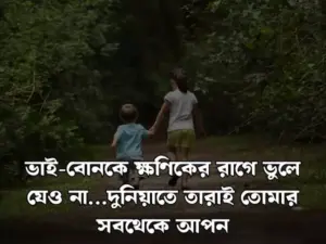 ভাই বোন নিয়ে স্ট্যাটাস
