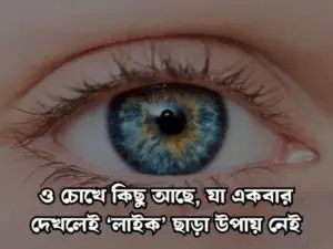 মায়াবী চোখ নিয়ে স্ট্যাটাস