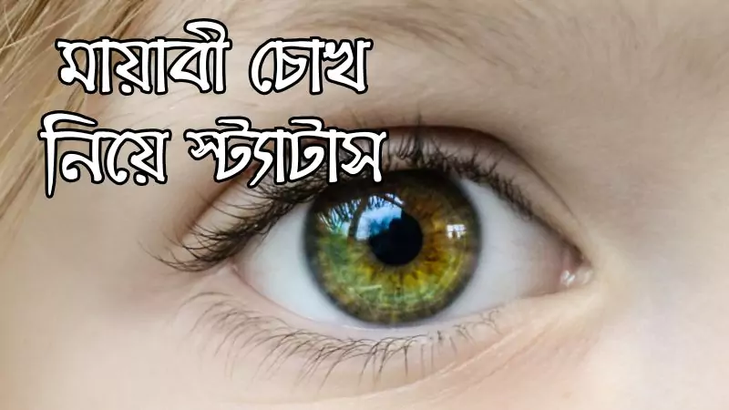 মায়াবী চোখ নিয়ে স্ট্যাটাস
