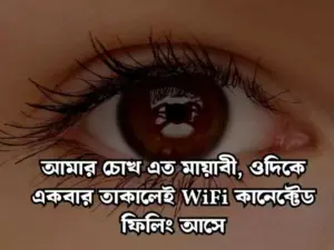 মায়াবী চোখ নিয়ে স্ট্যাটাস