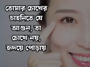মায়াবী চোখ নিয়ে স্ট্যাটাস