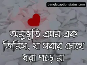 অনুভূতি স্ট্যাটাস