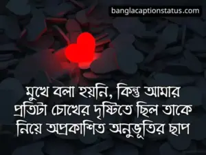 অনুভূতি স্ট্যাটাস