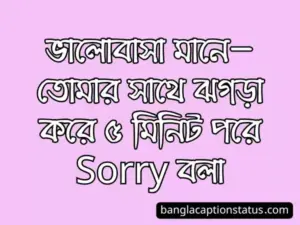 অনুভূতি স্ট্যাটাস