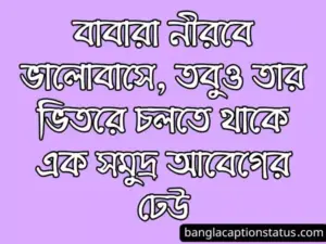 অনুভূতি স্ট্যাটাস
