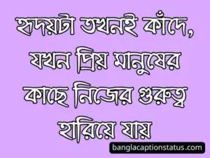 অনুভূতি স্ট্যাটাস