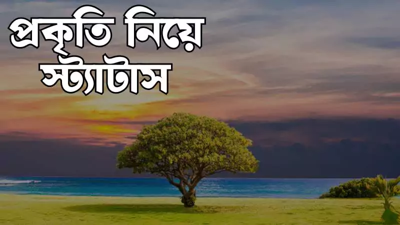 প্রকৃতি নিয়ে স্ট্যাটাস