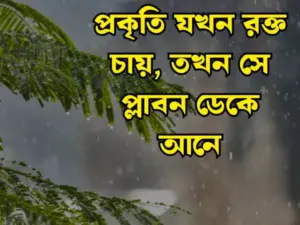 প্রকৃতি নিয়ে স্ট্যাটাস