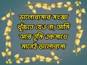 লাভ স্ট্যাটাস বাংলা