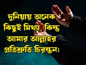 প্রোফাইল পিক ক্যাপশন