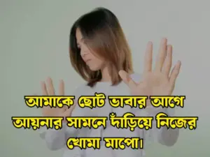 প্রোফাইল পিক ক্যাপশন