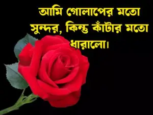 প্রোফাইল পিক ক্যাপশন