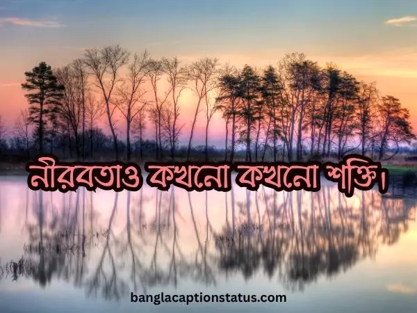 বাংলা ক্যাপশন সেরাটা