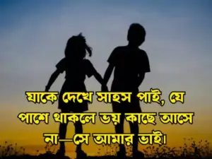 ভাই নিয়ে স্ট্যাটাস