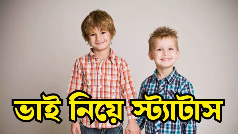 ভাই নিয়ে স্ট্যাটাস