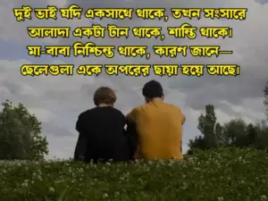 ভাই নিয়ে স্ট্যাটাস