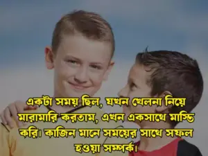 ভাই নিয়ে স্ট্যাটাস