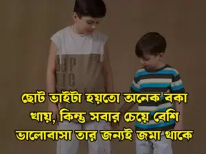 ভাই নিয়ে স্ট্যাটাস