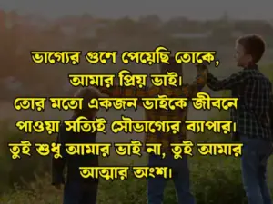 ভাই নিয়ে স্ট্যাটাস