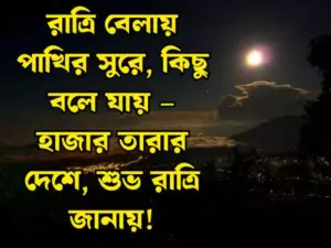 রাত নিয়ে স্ট্যাটাস
