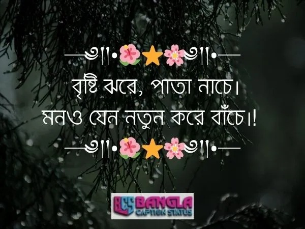  বৃষ্টি নিয়ে ক্যাপশন 
