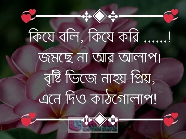 কাঠগোলাপ নিয়ে ক্যাপশন 